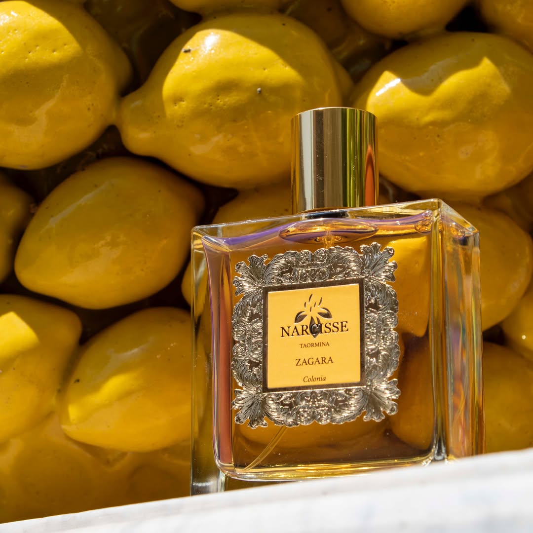 narcisse taormina canada