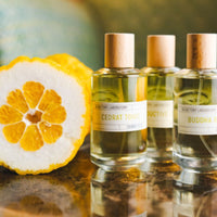 Les Liquides Imaginaires Fragrance Cedrat Tonic