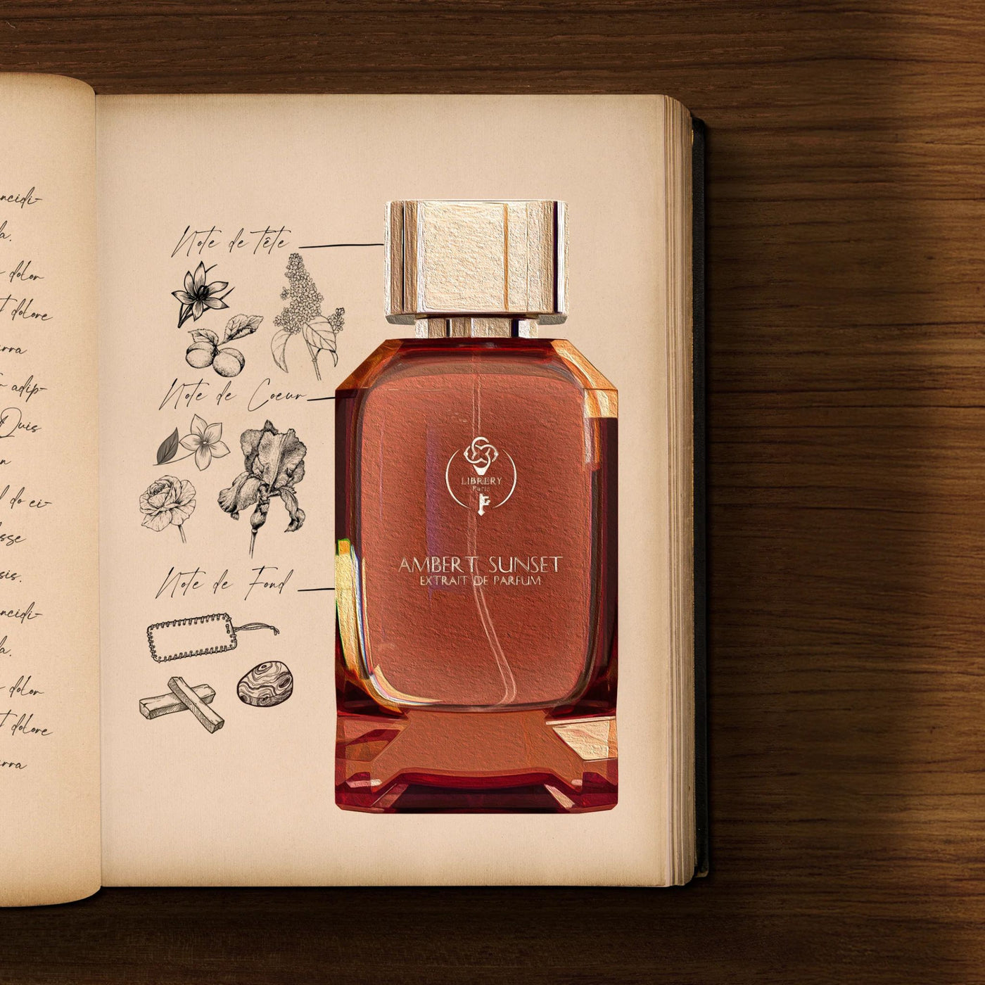 Amber Sunset Perfume Librery