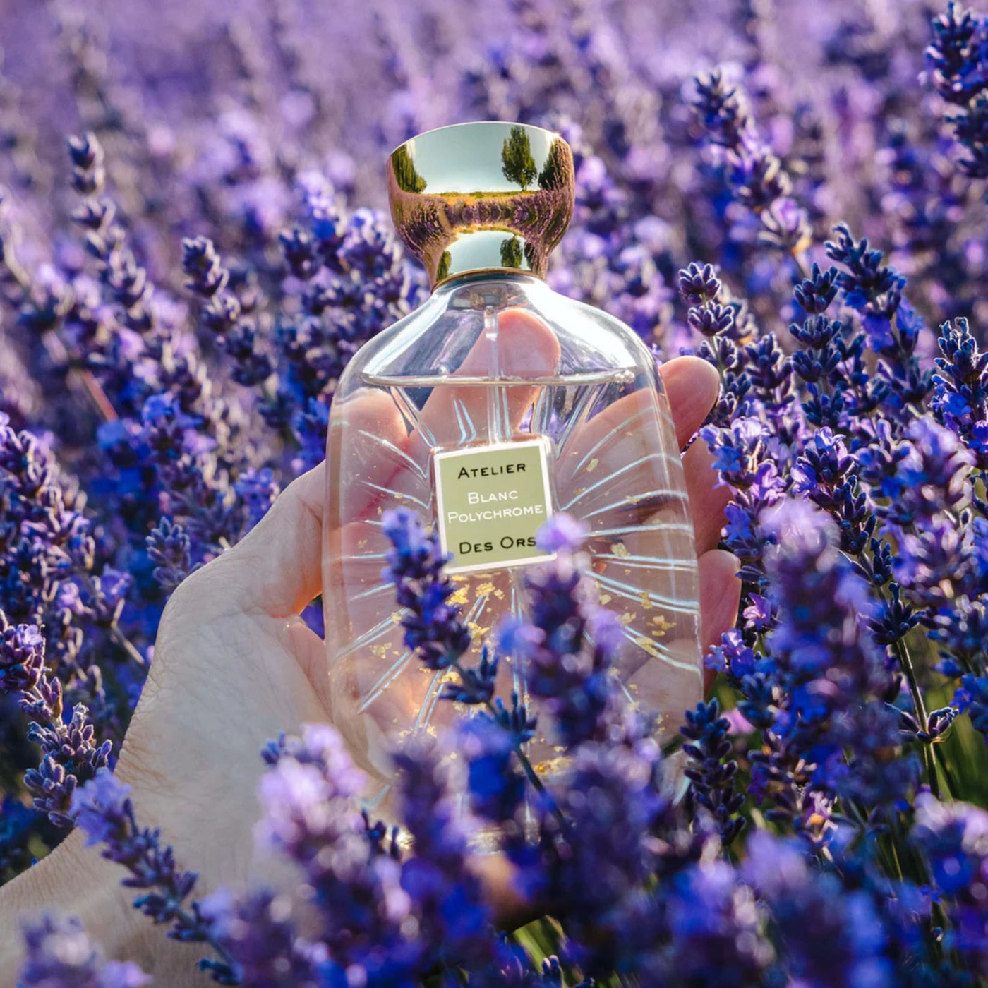 Blanc Polychrome Fragrance Atelier Des Ors
