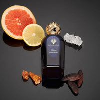Citron Macaron Perfume Les Princes du Golfe