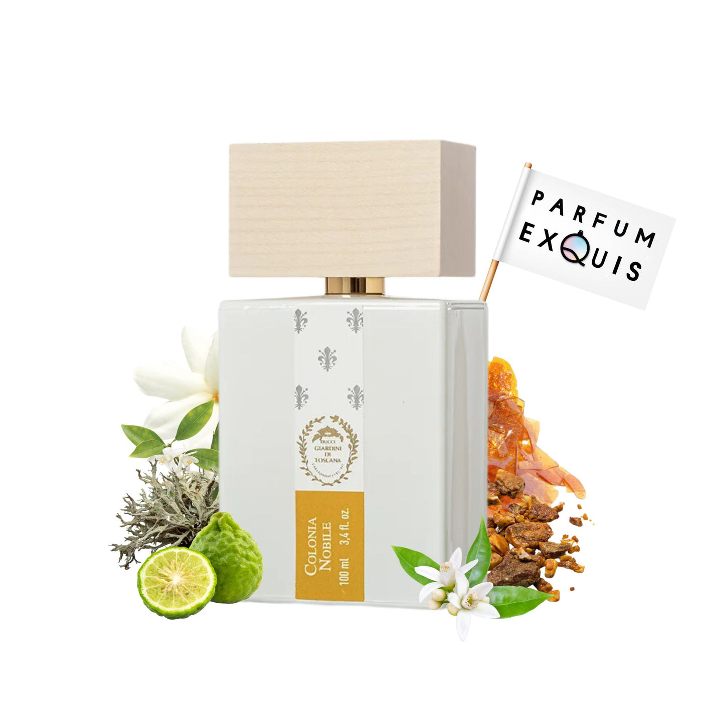 Colonia Noble
