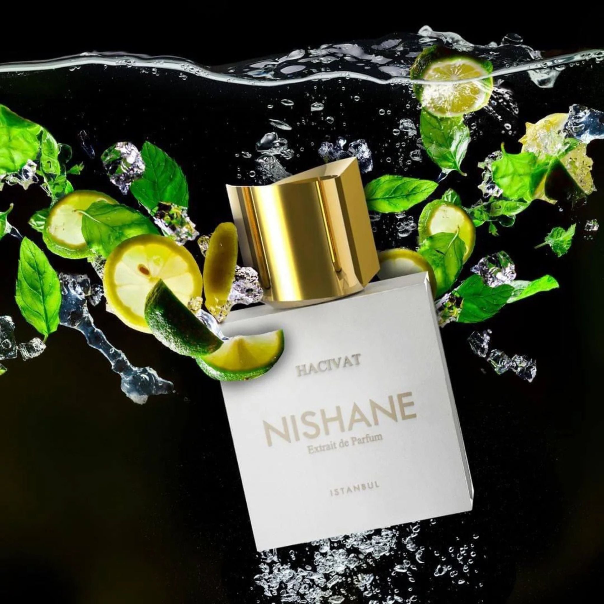 Perfume Nishane Hacivat