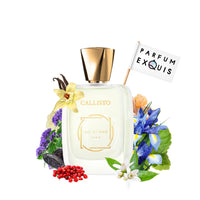 Callisto Jul et Mad