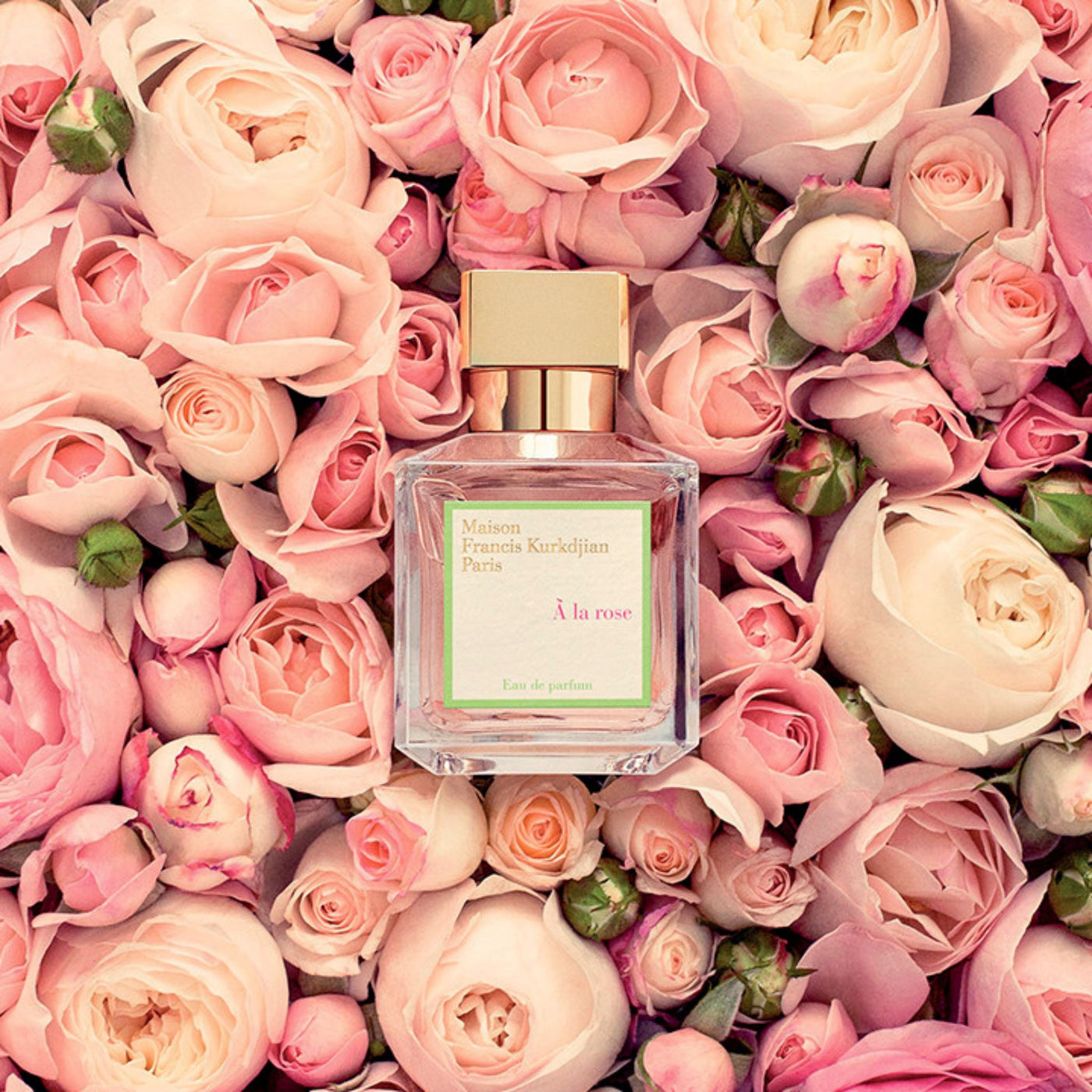 À La Rose Fragrance Maison Francis Kurkdjian 