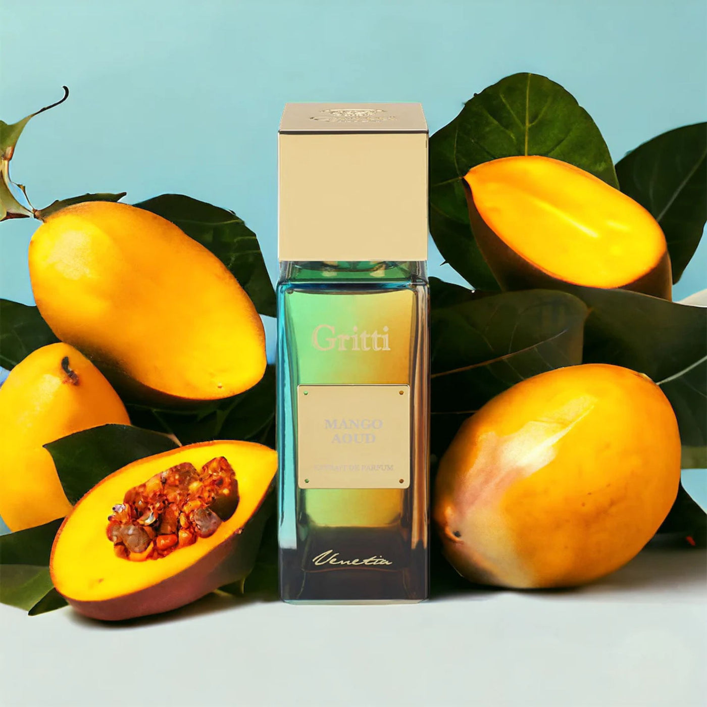Gritti Mango Aoud