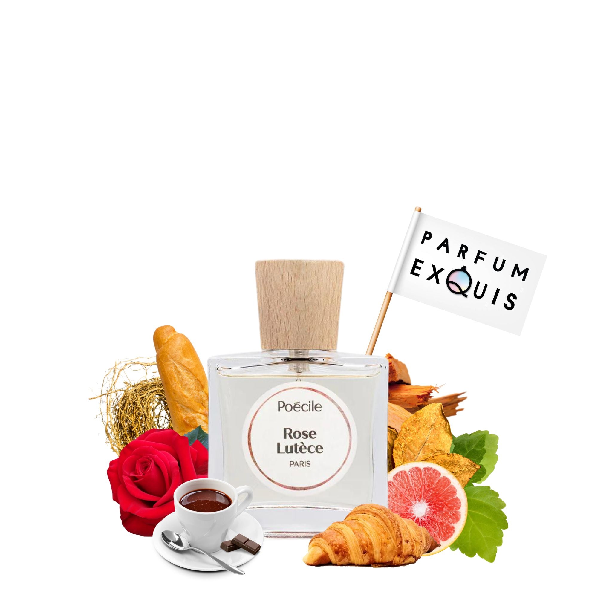 Poecile Rose Lutece (2)